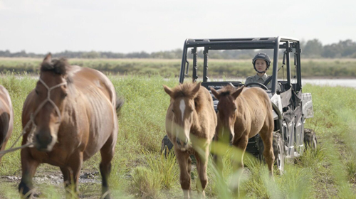 1661414093.jpg QQ图片20220823134205.jpg